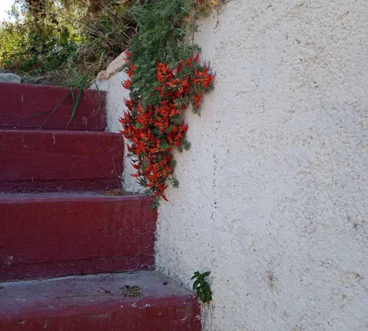Villa Phyllia, Knossos, Crete 0*, Knosos