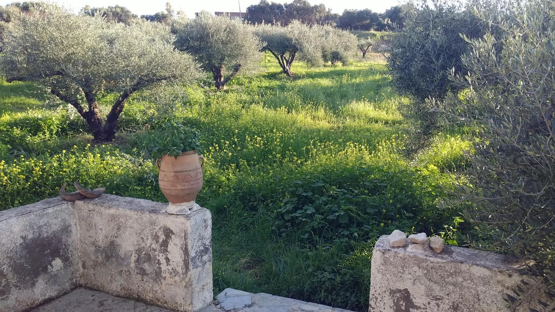 Villa Phyllia, Knossos, Crete Apartment